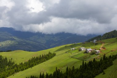 Giresun Platosu ve evleri. Yaz sezonu, Kumbet Platosu (Türkçe: Kmbet Yaylasi) evleri. Hindi yolculuğu. Dereli, Giresun, Türkiye