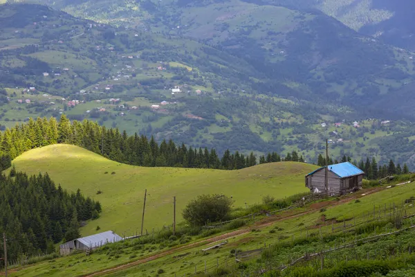 Giresun Plateau Und Häuser Sommersaison Kumbet Plateau Türkisch Kmbet Yaylasi — Stockfoto