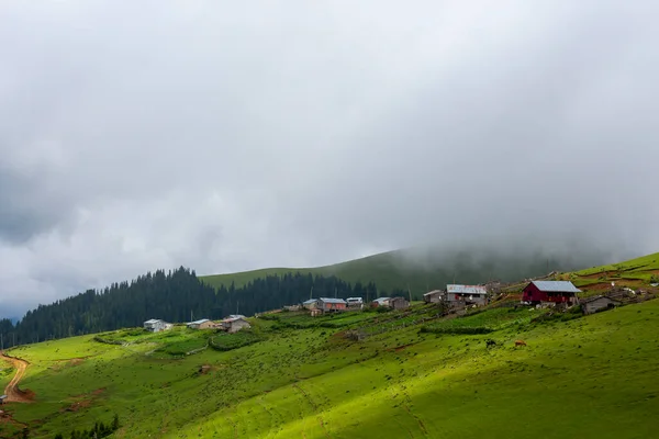 Płaskowyż Giresun Domy Sezon Letni Kumbet Plateau Turecki Kmbet Yaylasi — Zdjęcie stockowe