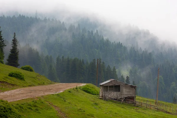 Giresun Plateau Houses Summer Season Kumbet Plateau Turkish Kmbet Yaylasi — Stock Photo, Image