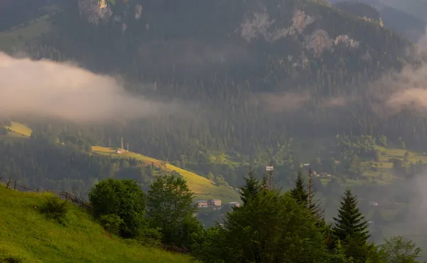 Giresun Plateau Huizen Zomer Seizoen Kumbet Plateau Turks Kmbet Yaylasi — Stockfoto