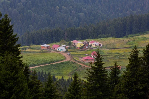 Giresun Højland Sent Forår - Stock-foto