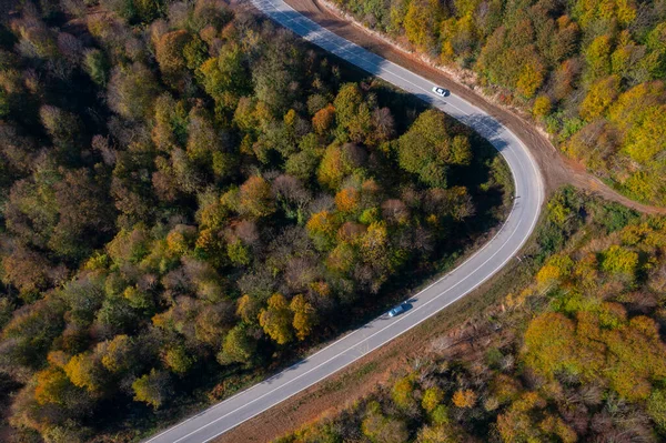 Cores Maravilhosas Outono Uma Estrada Florestal — Fotografia de Stock