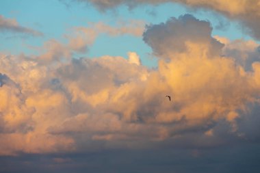 Alev benzeri bulutların muhteşem ziyafeti