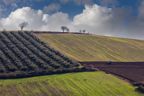 Tractor Plows Field Sow New Crops — Fotografia de Stock