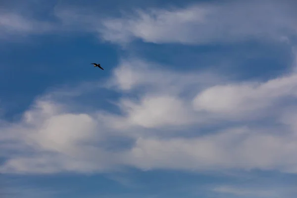 Majestätische Wolken Und Blauer Himmel — Stockfoto