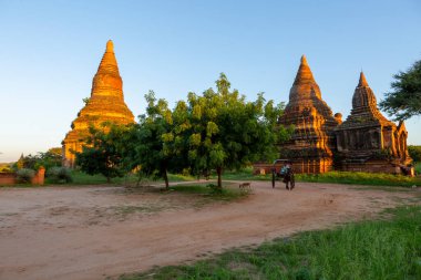 Bagan, Myanmar, November 13, 2016: pagoda places of worship of myanmar people