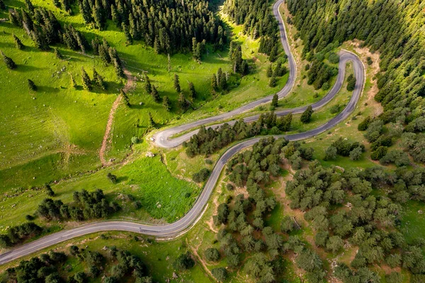 Curvy Roads Unique Forest Scenery Artvin Turkey — Foto de Stock