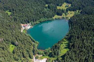 Savsat Karagol lake is a large trout lake in the forest in Artvin