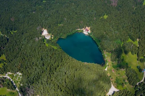 Savsat Karagol Lake Large Trout Lake Forest Artvin — Stockfoto