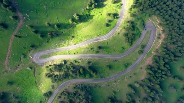 Curvy Roads Unique Forest Scenery Artvin Turkey — Wideo stockowe