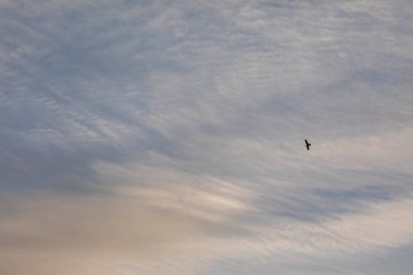 Görkemli bulutlar ve mavi gökyüzü