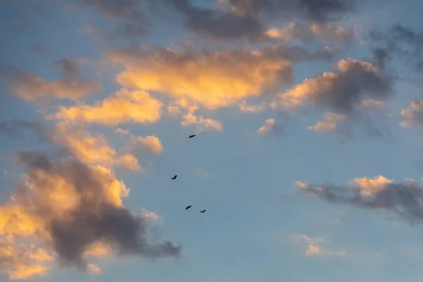 Величественные Облака Голубое Небо — стоковое фото