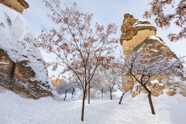 Pigeon Valley and Cave town in Goreme during winter time. Cappadocia, Turkey. 