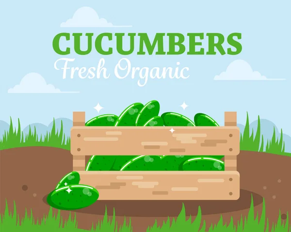 Fresh Cucumbers Wooden Box Eco Friendly Farm Product Vector Illustration — Stock vektor