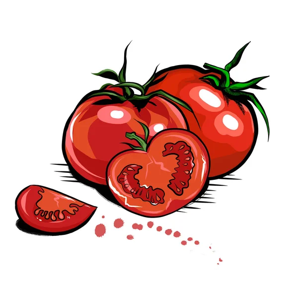 Saftige Frische Rote Tomaten Ganz Und Scheiben Geschnitten Handgezeichnet Realistischem — Stockvektor