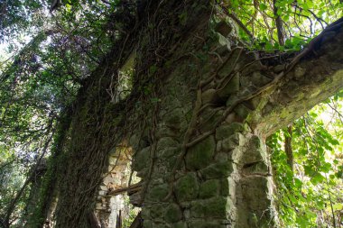 Terk edilmiş şehir Bugnano İtalya 'nın Toskana ormanlarına gömüldü.