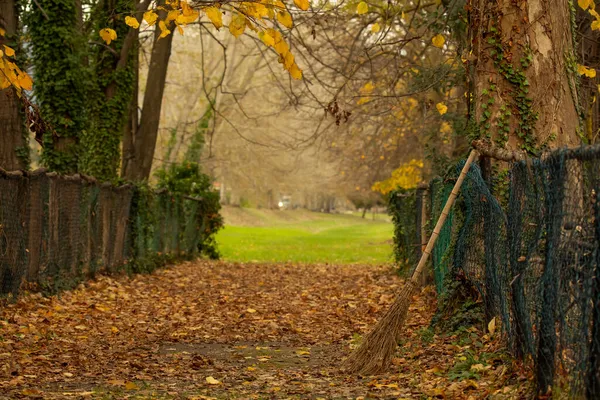 Balai Laissé Dans Parc Automne Avec Des Feuilles Jaunes Tombées — Photo