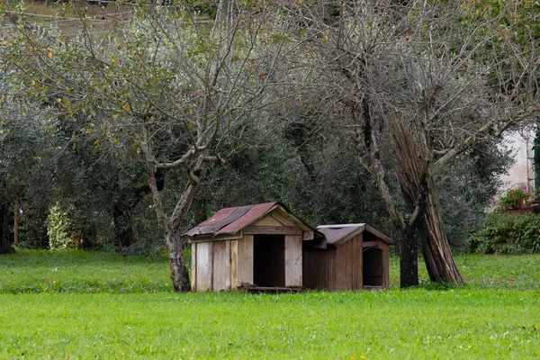 Due Case Cani Giardino — Foto Stock