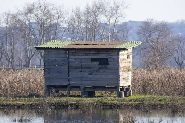 Cabane Photographie Nature Dans Une Réserve Naturelle — Photo