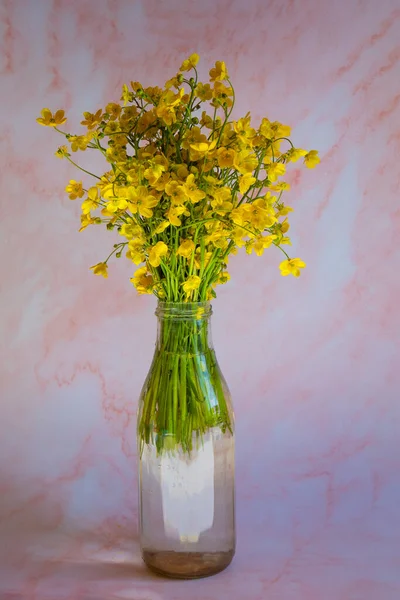 Ramo Botones Amarillos Ranunculus Acris Flores Silvestres Una Botella Vidrio — Foto de Stock