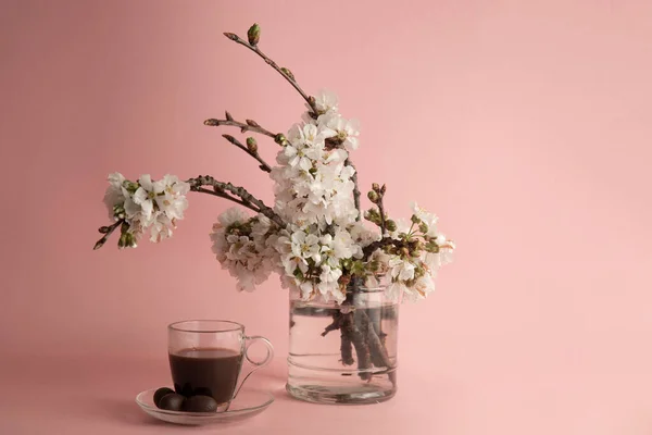 Átlátszó Csésze Kávé Mellett Egy Üveg Váza Virágzó Tavaszi Ágak — Stock Fotó