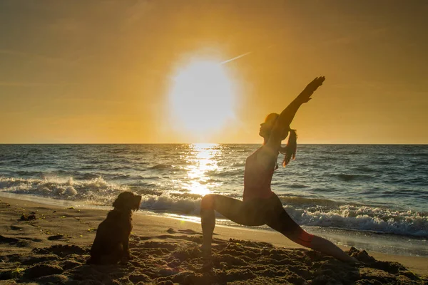 woman with dog doing yoga by the sea during sunset
