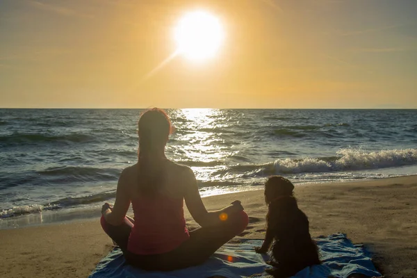 woman with dog doing yoga by the sea during sunset
