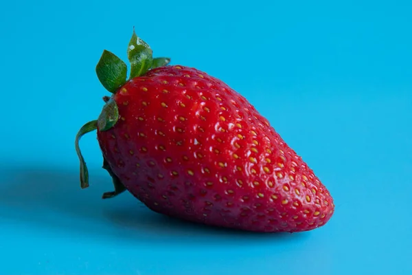 One Big Strawberry Isolated Blue Background — Stock Photo, Image