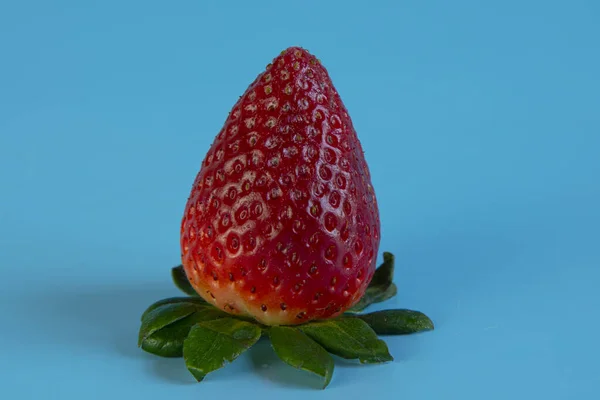 One Big Strawberry Water Drops Isolated Blue Background — Stock Photo, Image