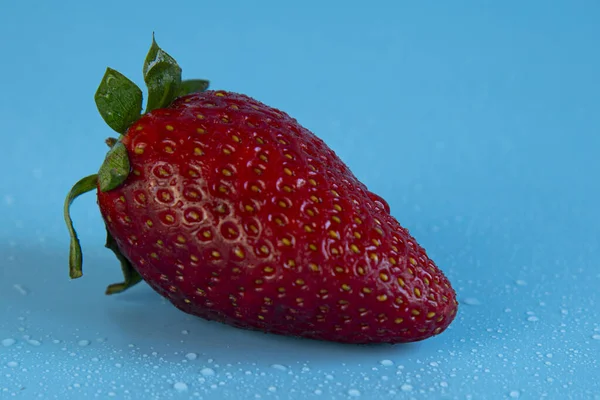 One Big Strawberry Water Drops Isolated Blue Background — Stock Photo, Image