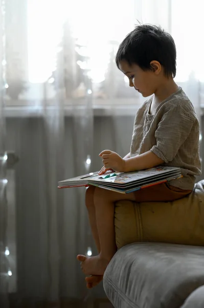 Маленький Мальчик Сидит Дома Диване Смотрит Картинки Книге — стоковое фото