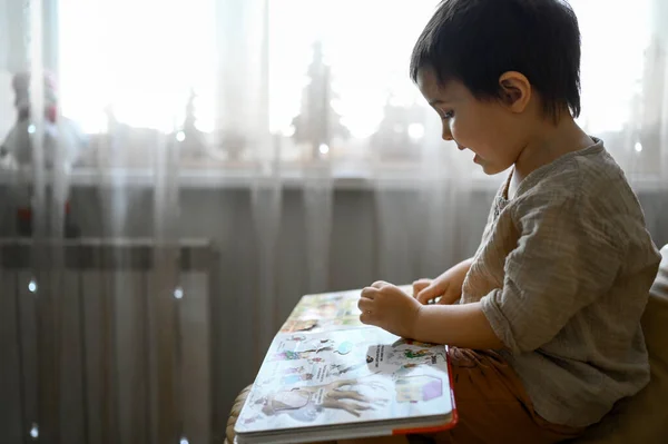 Маленький Мальчик Сидит Дома Диване Смотрит Картинки Книге — стоковое фото