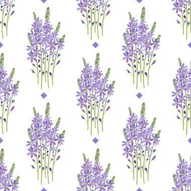 Hassas çiçek aranjmanı. Camassia leylak çiçeği. Çiçeksiz desen.