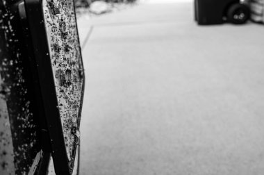 Bir aracın ön ızgarasına ve plakasına sıçrayan ölü böceklere odaklanın.