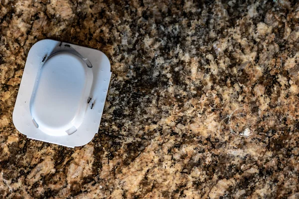 Ant trap poison bate sur un comptoir de cuisine en granit — Photo