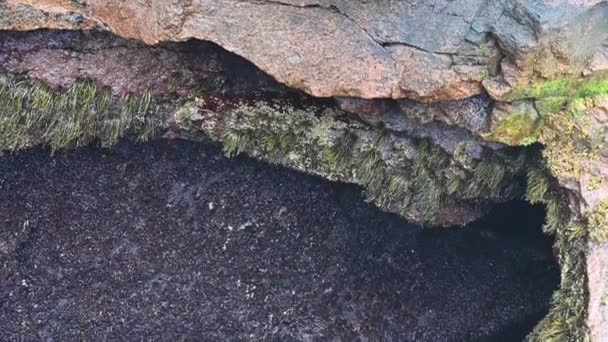 米国メイン州アカディア国立公園のサンダーホールと呼ばれる天然の岩の入口に衝突する高潮. — ストック動画