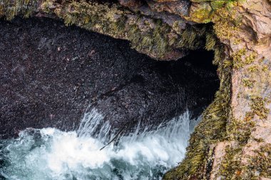 Yükselen dalgalar, Maine, Acadia Ulusal Parkı 'ndaki Thunder Hole adlı doğal bir kaya koyuna çarpıyor.. 