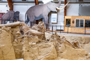 Hot Springs, Güney Dakota - 10.2021: Çökmüş bir lavabo deliğinin sebep olduğu kazı alanında kemikler bulundu