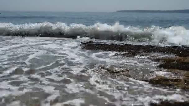 Tide refreshing pools at the oceanfront of Wonderland Trail Acadia National Park — Stock Video