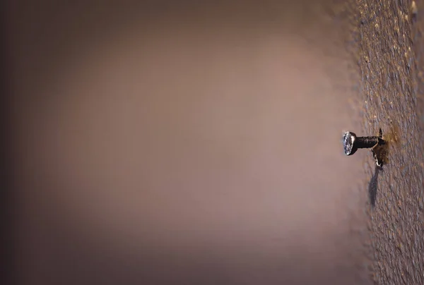 Makro eines einzelnen Nagels, der aus einem bemalten Trockenbau in einem Wohnhaus herausragt — Stockfoto