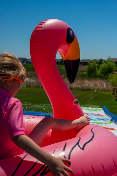 Çocuk flamingo tüpüyle su kaydırağından aşağı iniyor. — Stok fotoğraf