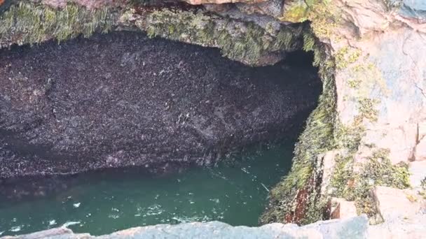 Las crecientes olas de marea chocan contra una entrada de roca natural llamada Thunder Hole en el Parque Nacional Acadia, Maine, EE.UU.. — Vídeos de Stock