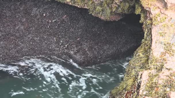 Las crecientes olas de marea chocan contra una entrada de roca natural llamada Thunder Hole en el Parque Nacional Acadia, Maine, EE.UU.. — Vídeos de Stock
