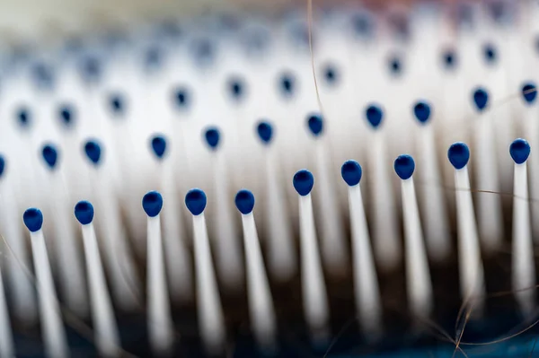 Selective focus on bristles of a hairbrush with tangled hair — Stock Photo, Image