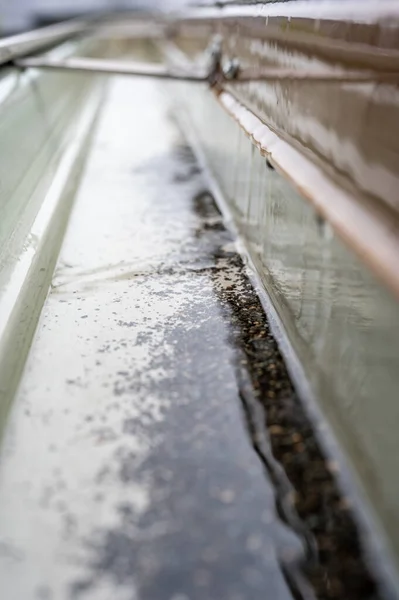 Foco seletivo em uma seção de calhas residenciais com cabide transportando água durante uma tempestade. Salpicos de chuva e gotas visíveis. — Fotografia de Stock