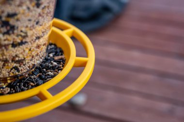 Tohumların karışımı ile kuş yemliğine odaklan. Bulanık arka planda, ahşap veranda.. 