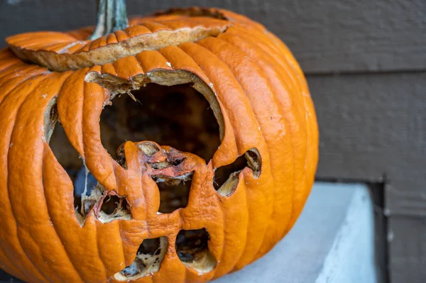Cadılar Bayramı 'nın soğuk gecesinde terk edildikten sonra küflü yaşlı balkabağı. 