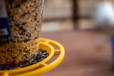 Tohumların karışımı ile kuş yemliğine odaklan. Bulanık arka planda, ahşap veranda.. 