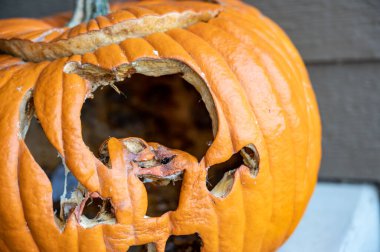 Cadılar Bayramı 'nın soğuk gecesinde terk edildikten sonra küflü yaşlı balkabağı. 